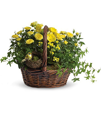 Yellow Trio Basket from Richardson's Flowers in Medford, NJ